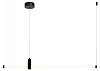 Подвесной светильник Favourite Lingering 4860-1P 100_100_3092871